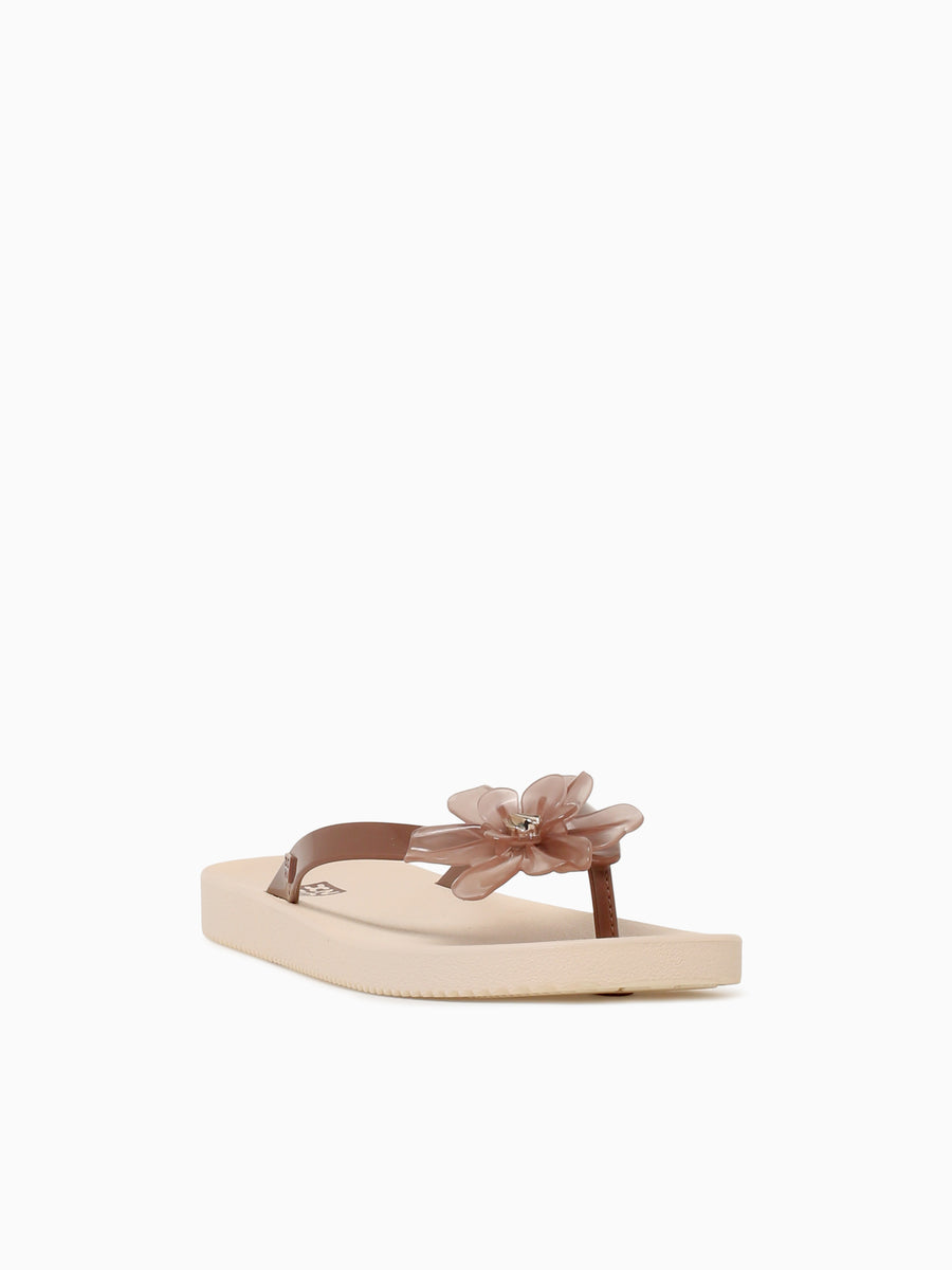 Zaxy Summer Coffee Brown jelly Brown Multi / 5 / M