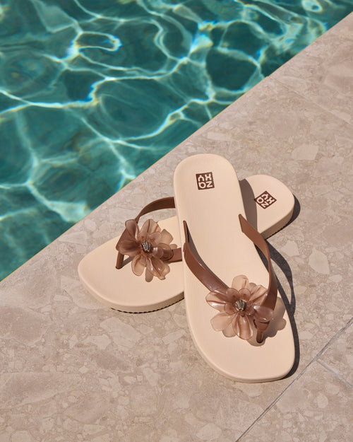 Zaxy Summer Coffee Brown jelly
