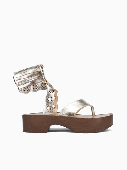 Zeana Gold Metallic Gold / 5 / M