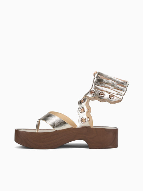 Zeana Gold Metallic Gold / 5 / M