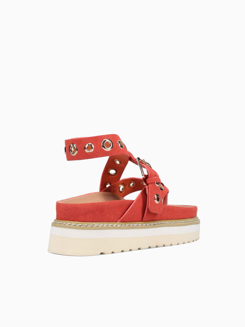 Rocha Rust Suede Dark Orange / 5 / M