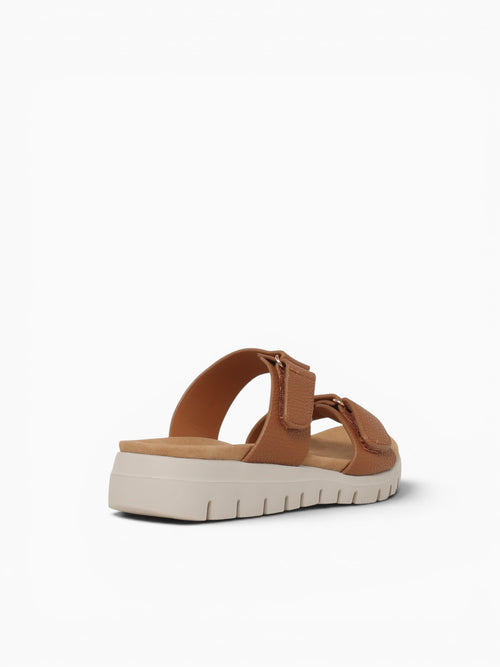 Ani Brown Smooth Brown / 5 / M