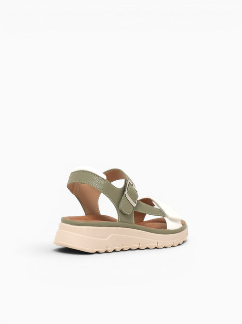 Hazel Green Smooth Green / 5 / M