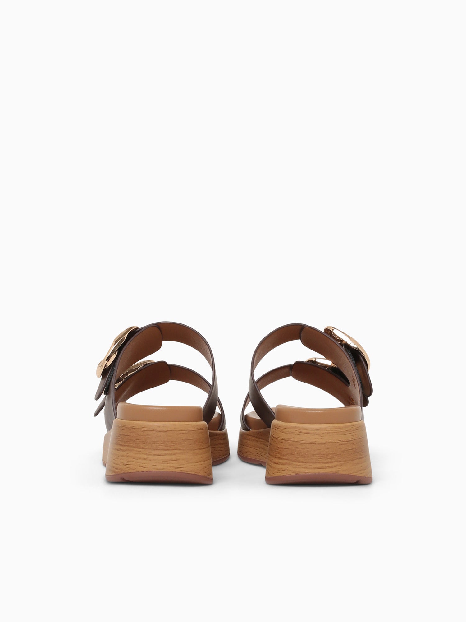 Roxana Brown Smooth Brown / 5 / M