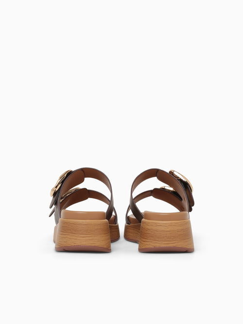 Roxana Brown Smooth Brown / 5 / M