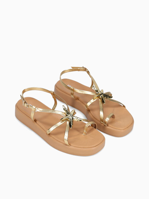 Aureline Ouro Estela Gold / 5 / M