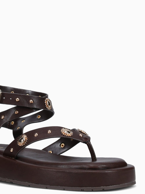 Tessara Coffee Smooth Brown / 5 / M