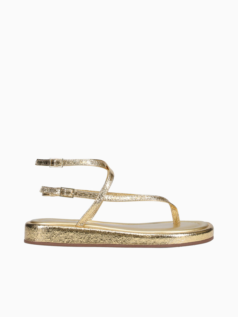 Sundara Ouro Metallic Gold / 5 / M