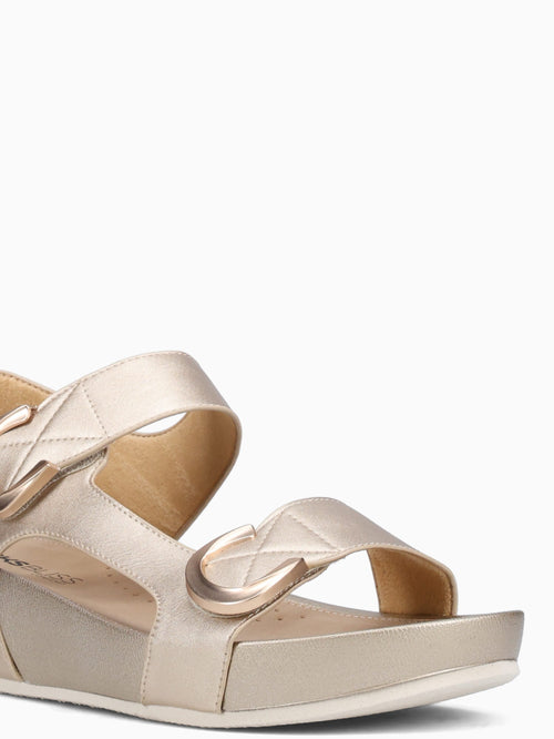 Astra Gold Metallic Gold / 5 / M