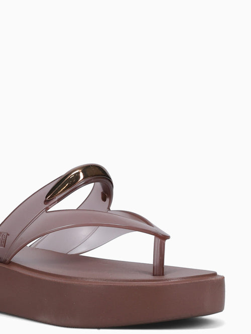 Feel Tam Ad Bear Brown Transparent Brown / 5 / M