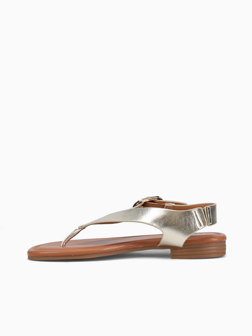 Elian Gold Metallic Gold / 5 / M