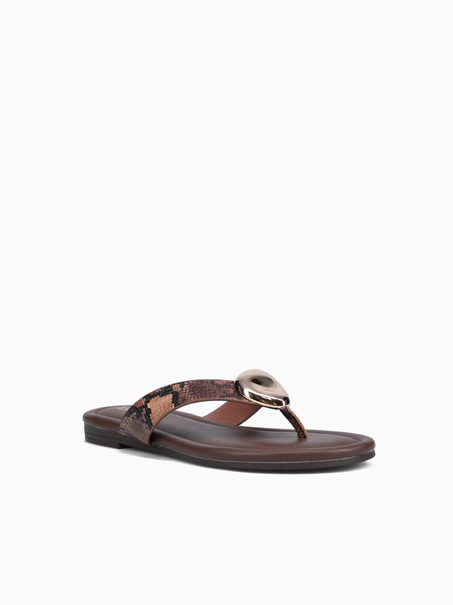 Aylin Brown Snake Brown / 5 / M