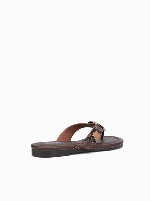 Aylin Brown Snake Brown / 5 / M