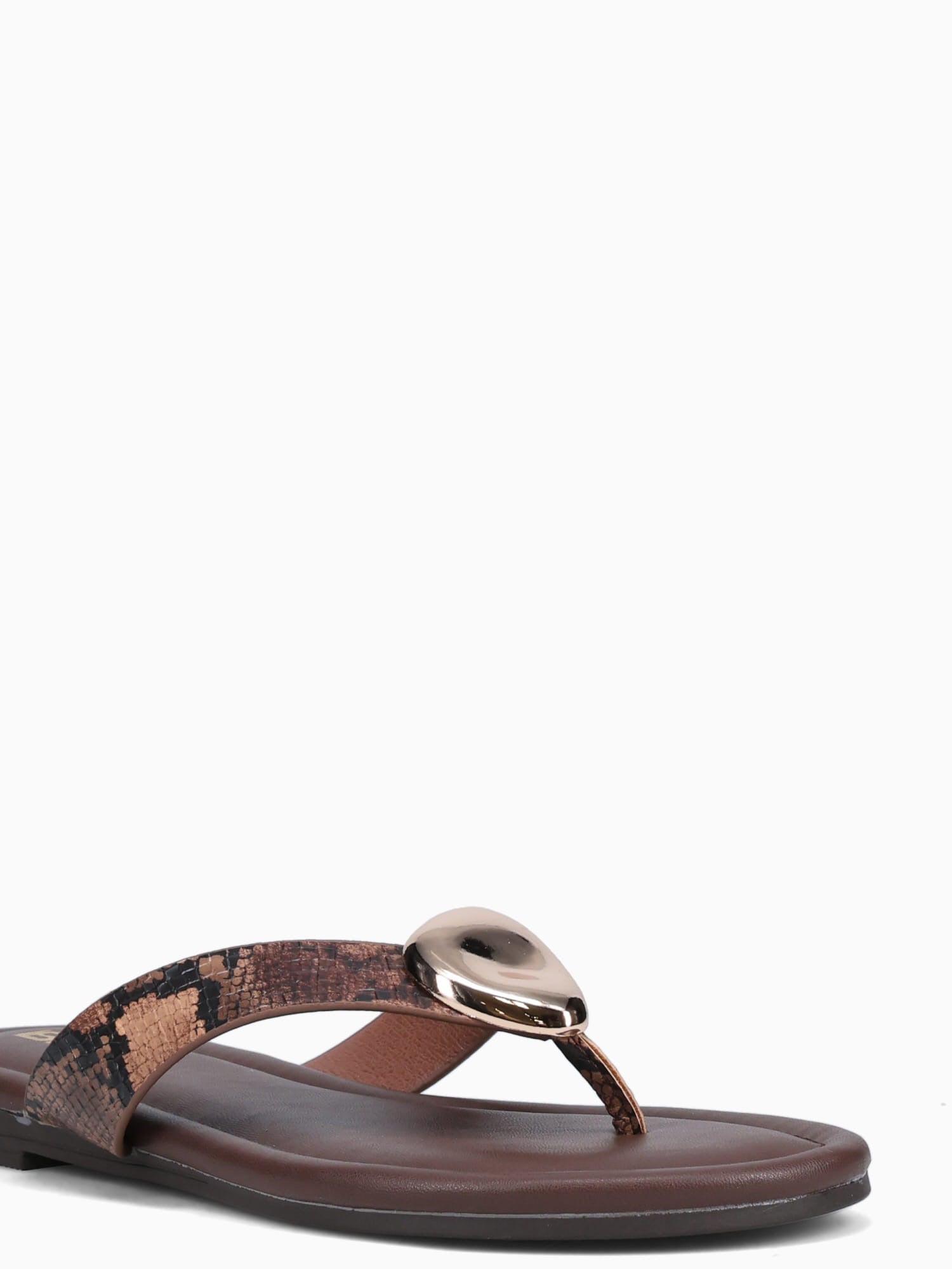 Aylin Brown Snake Brown / 5 / M