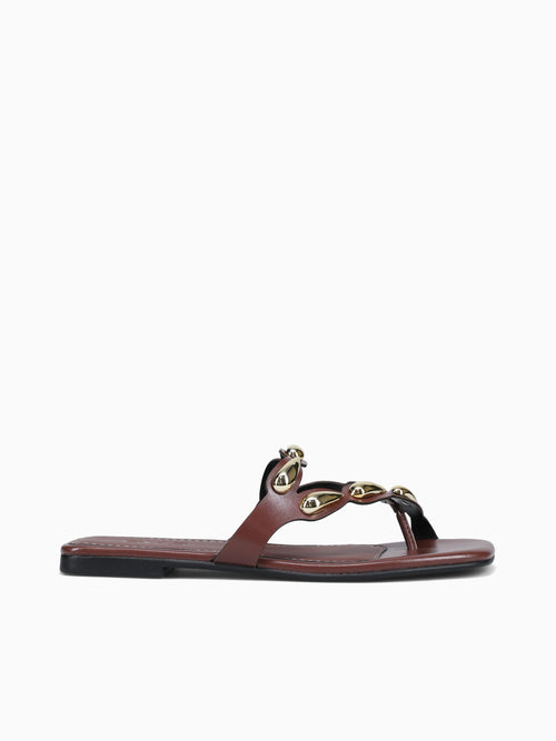 Dory Terra Intense Brown / 5 / M