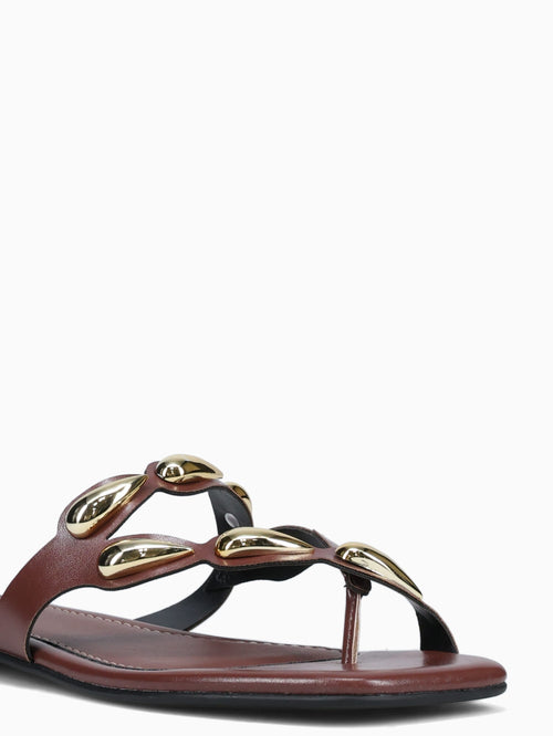 Dory Terra Intense Brown / 5 / M