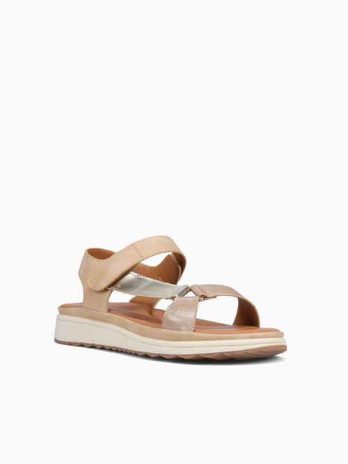 Modalina Beige Gold smooth Beige / 5 / M