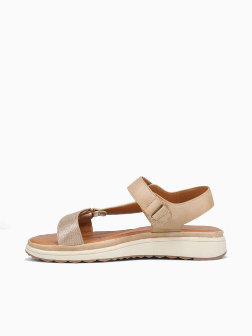 Modalina Beige Gold smooth Beige / 5 / M
