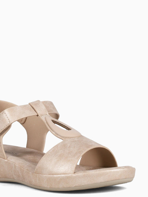 Luccia Gold Metallic Gold / 5 / M