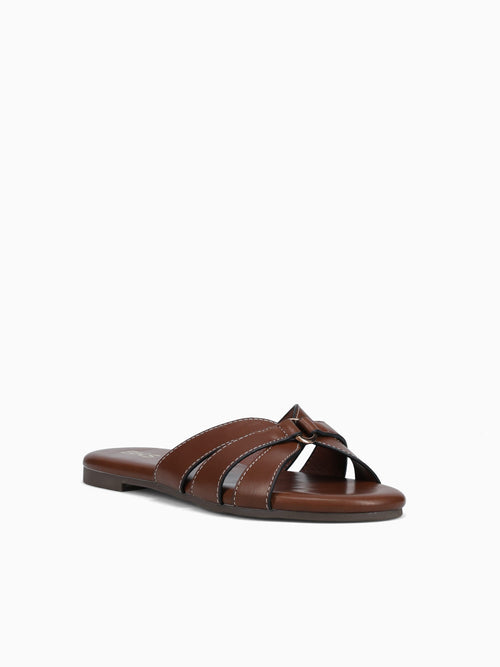 Chi Brown Smooth Brown / 5 / M