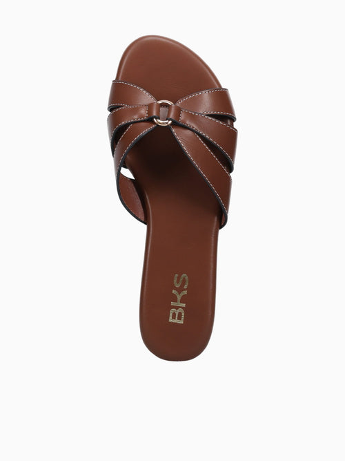 Chi Brown Smooth Brown / 5 / M