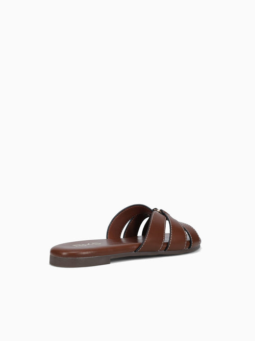 Chi Brown Smooth Brown / 5 / M