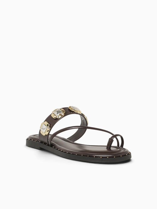Gracelyn Marrom Intense Brown / 5 / M