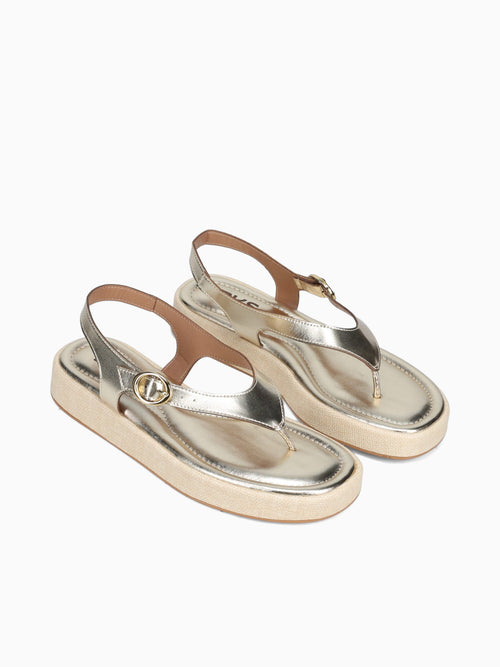 Talia Ouro Prime Gold / 5 / M
