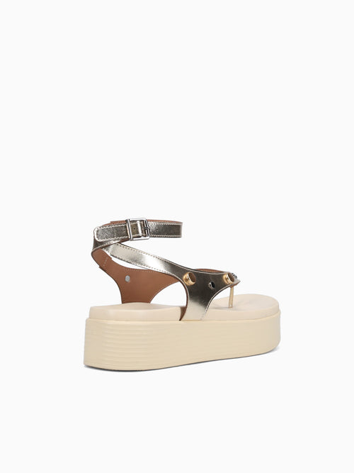 Copa Ouro Prime Gold / 5 / M